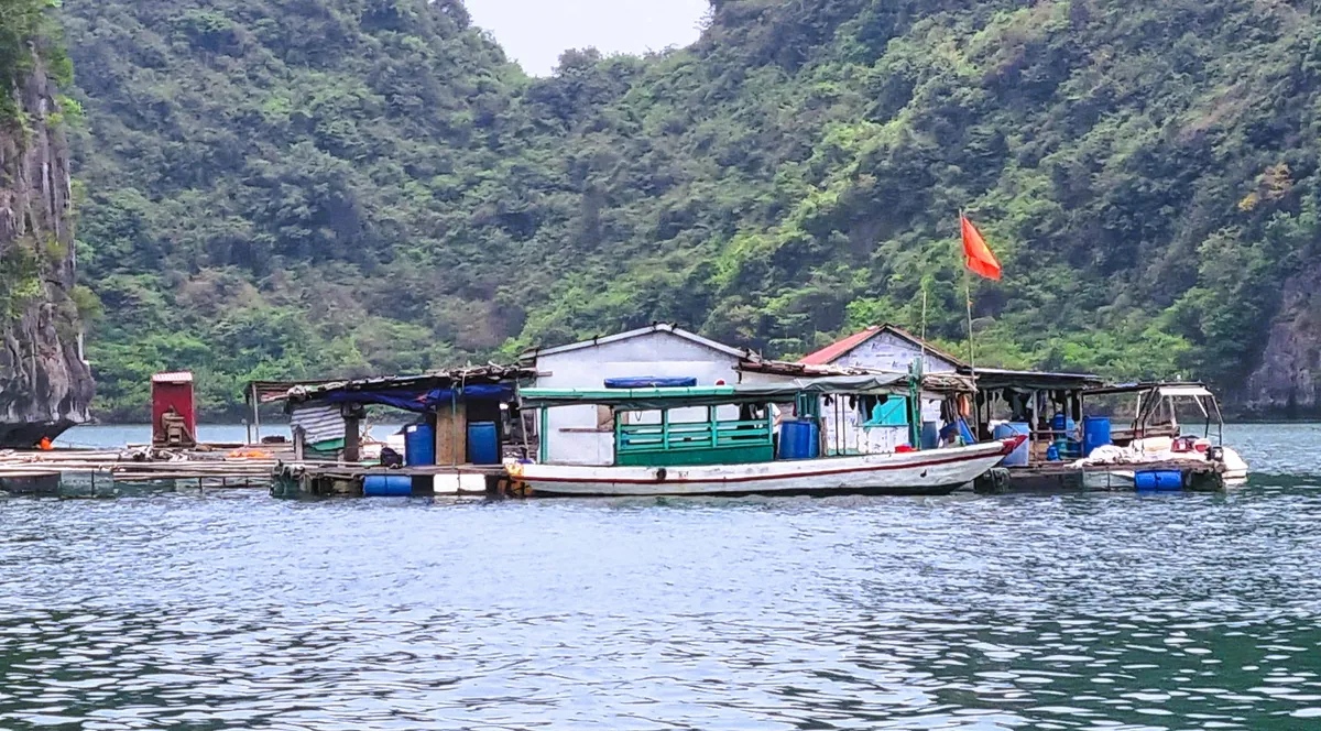 Halong Image 4
