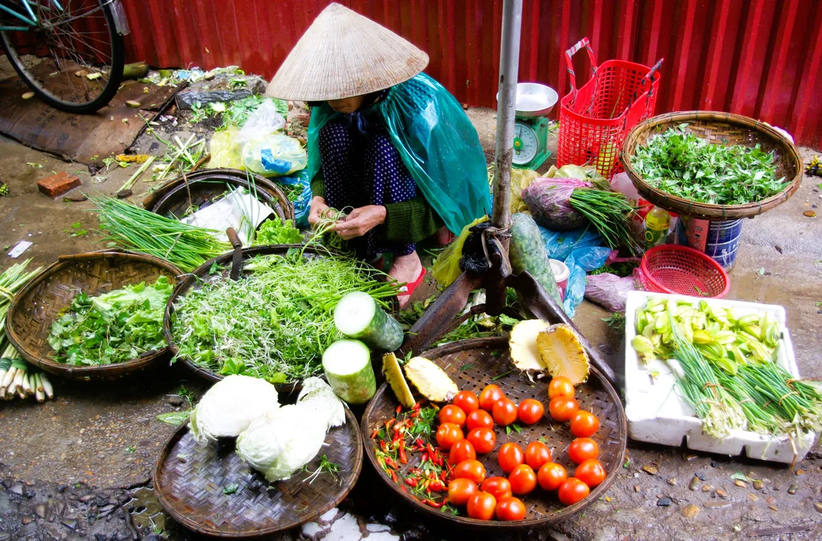 Hoi An Image 16