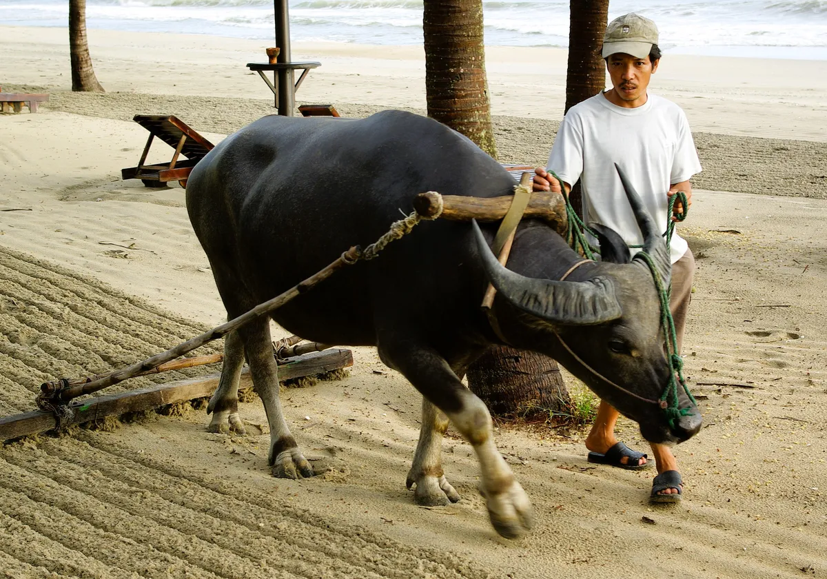 Hoi An Image 22