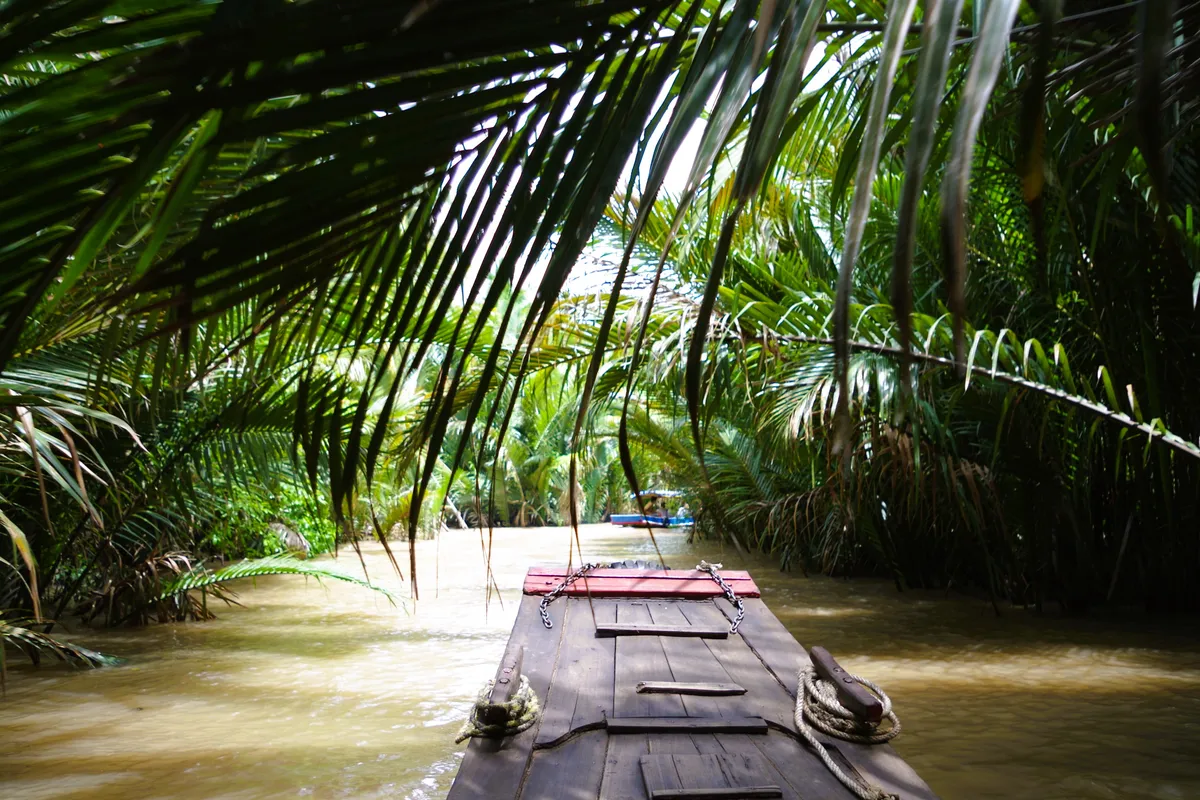 Mekong Delta Image 3