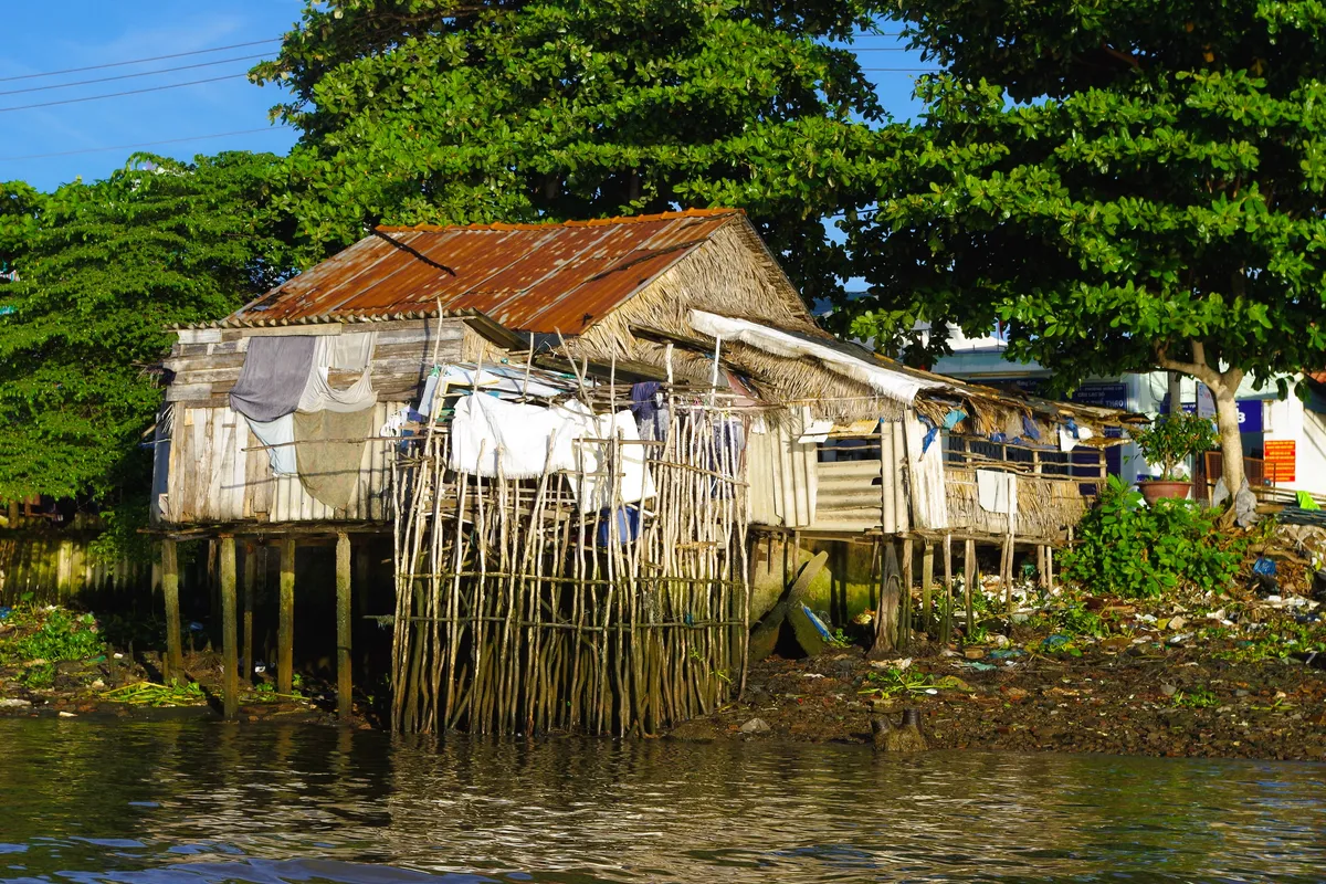 Mekong Delta Image 5