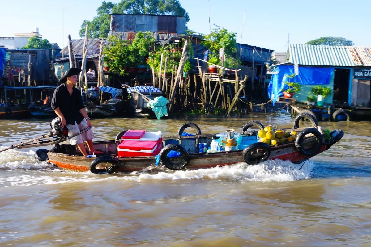 Mekong Delta Image 7