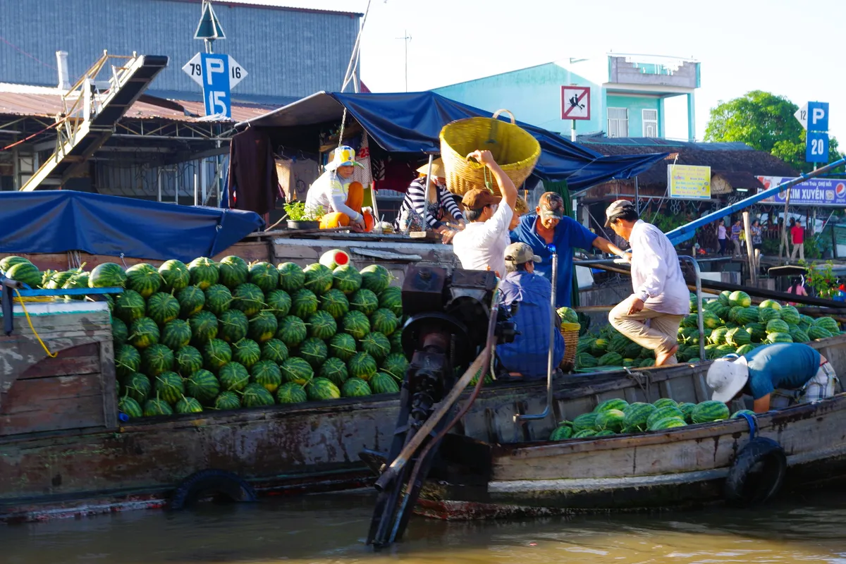 Mekong Delta Image 9