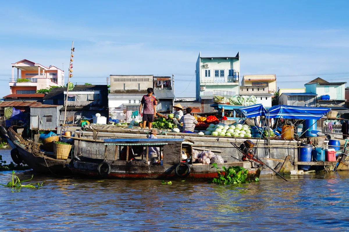 Mekong Delta Image 11