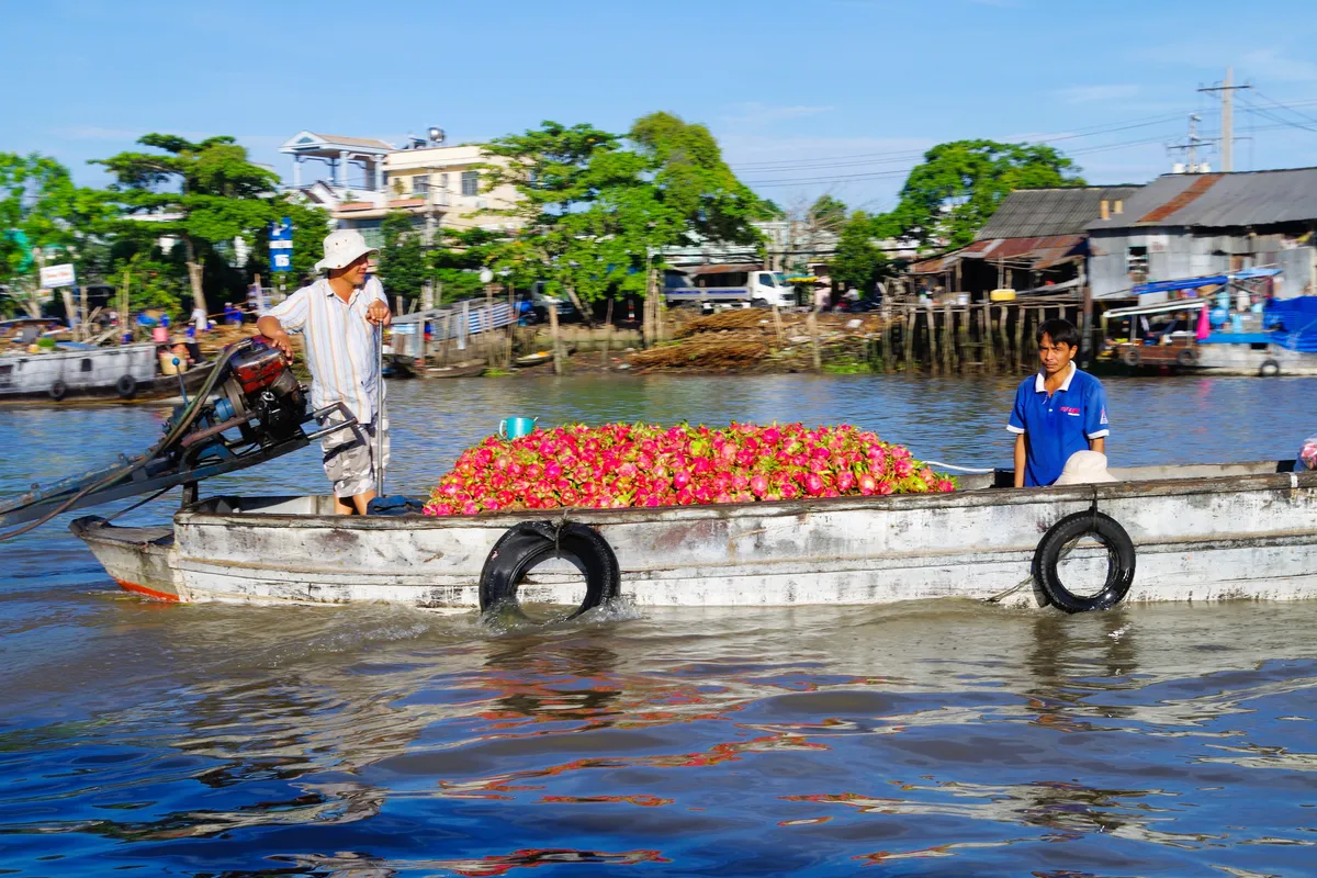 Mekong Delta Image 13