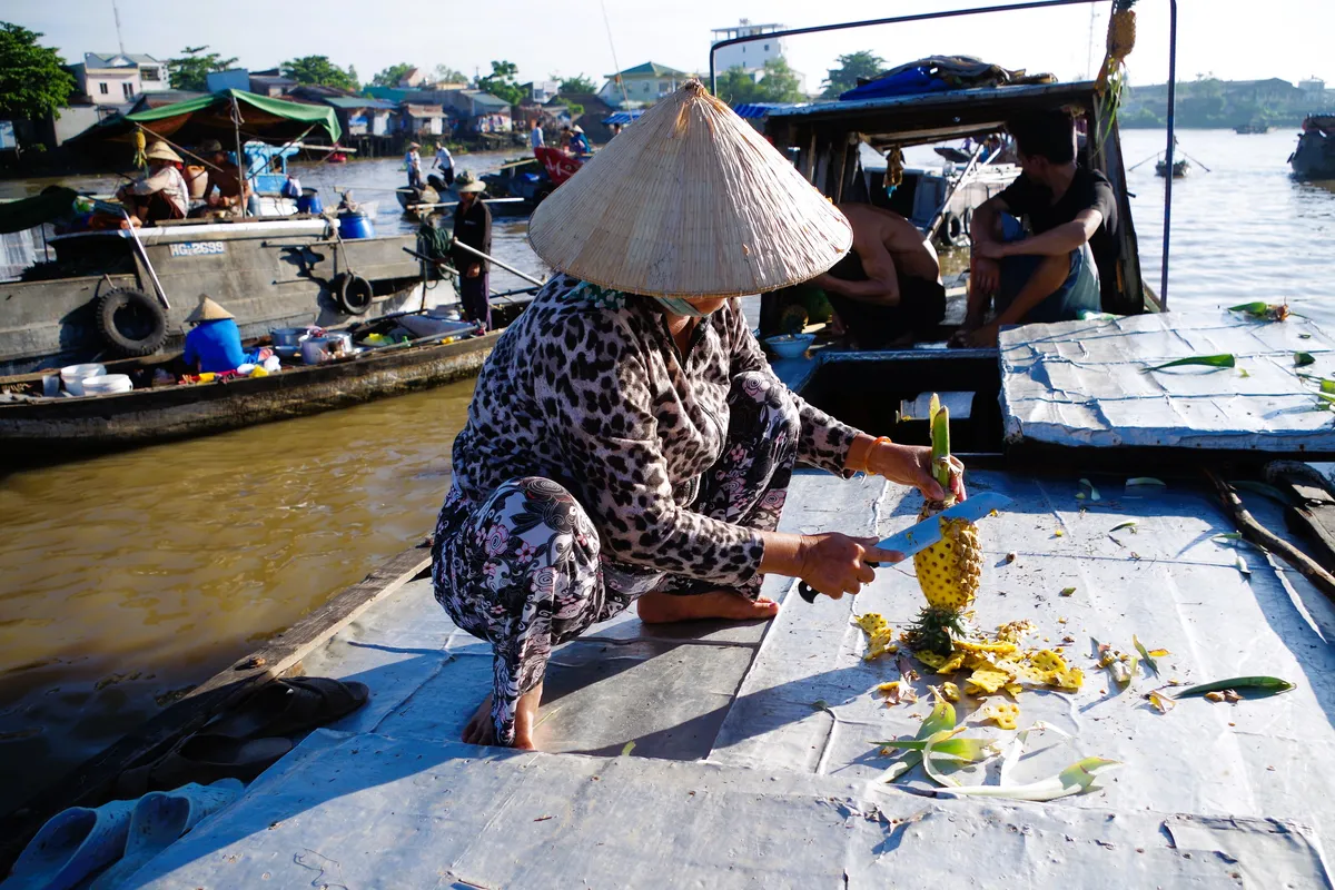 Mekong Delta Image 14