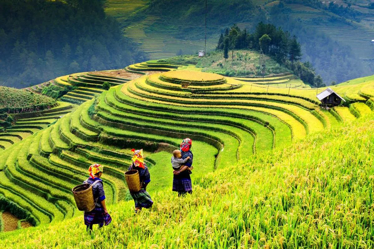 Sapa Image 5