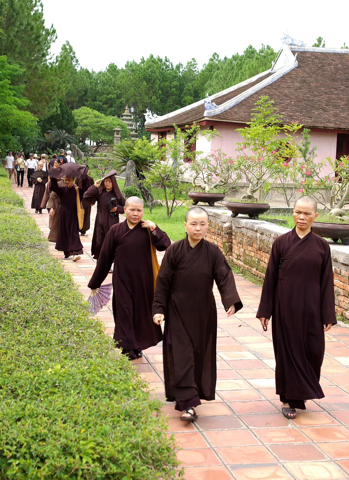 Hue Image 14