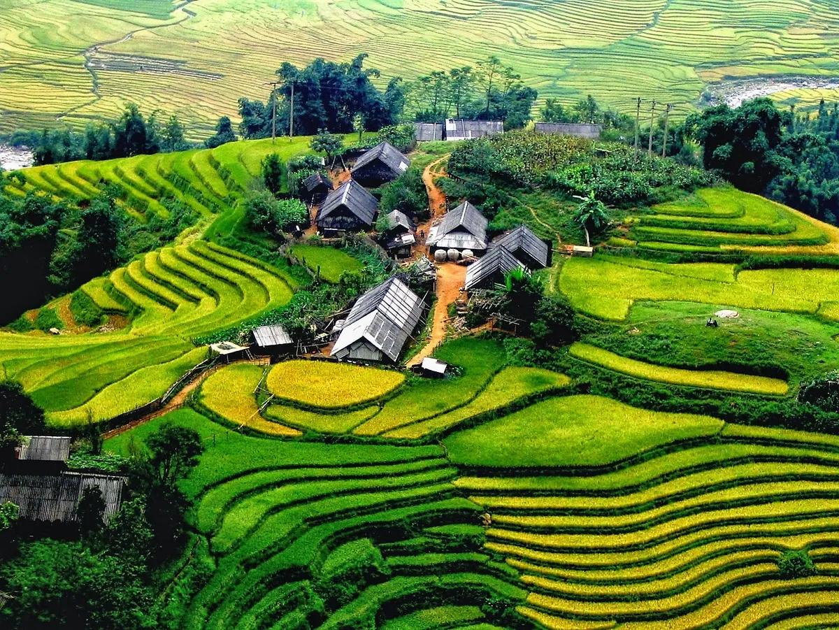 Sapa